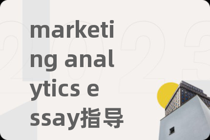 marketing analytics essay指导