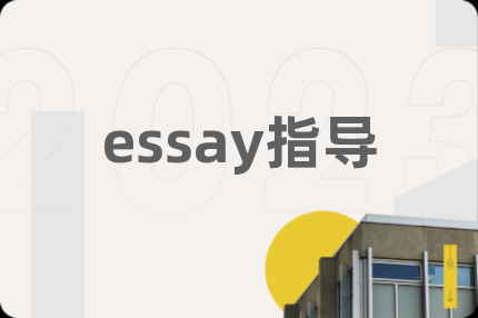 essay指导