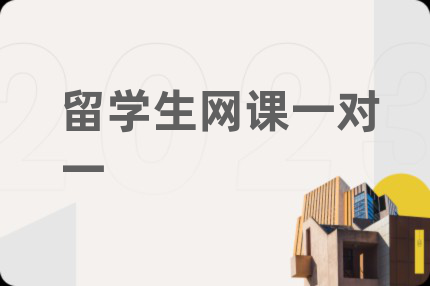 留学生网课一对一