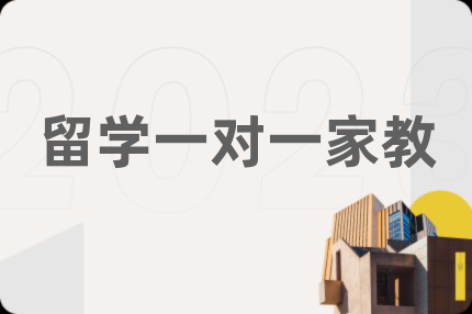 留学一对一家教