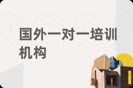 国外一对一培训机构