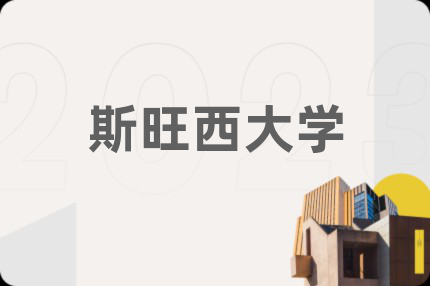 斯旺西大学