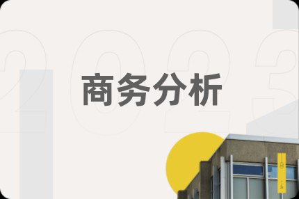 商务分析