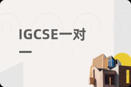IGCSE一对一
