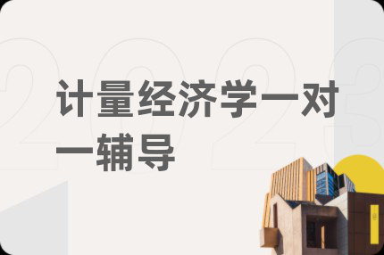 计量经济学一对一辅导