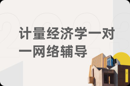 计量经济学一对一网络辅导