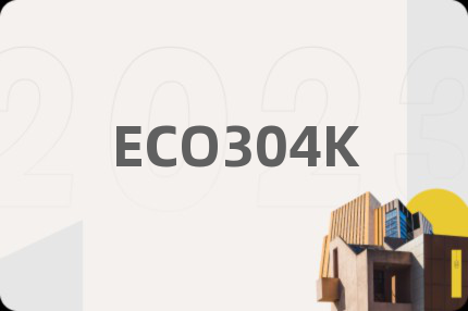 ECO304K