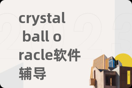 crystal ball oracle软件辅导