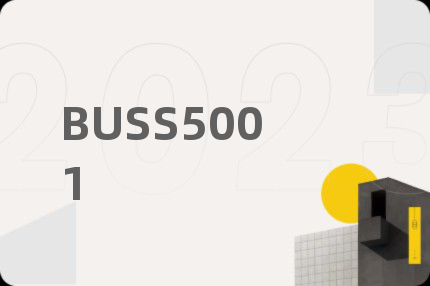 BUSS5001