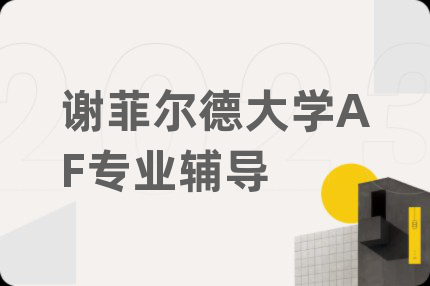 谢菲尔德大学AF专业辅导
