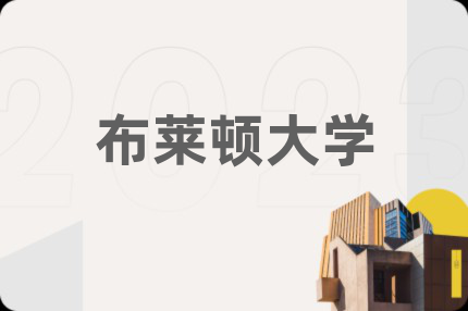 布莱顿大学