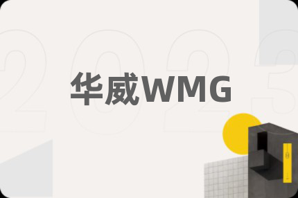 华威WMG