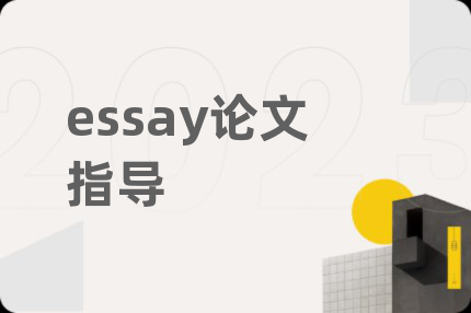 essay论文指导