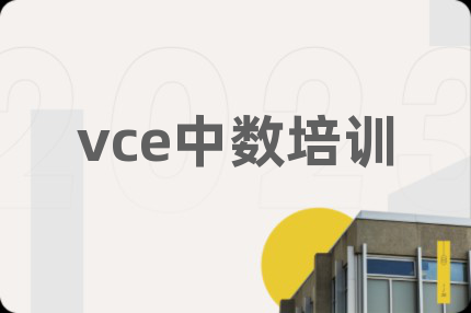 vce中数培训