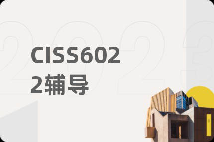 CISS6022辅导