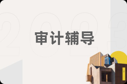 审计辅导