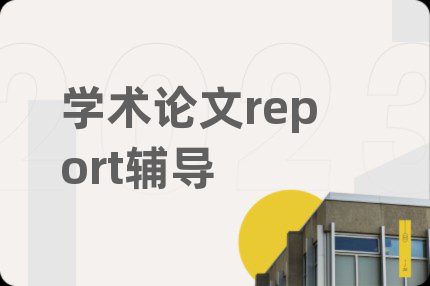 学术论文report辅导