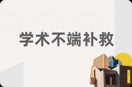 学术不端补救