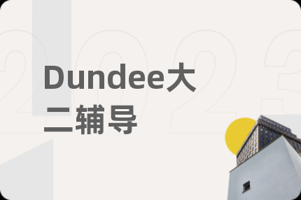 Dundee大二辅导