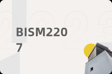 BISM2207