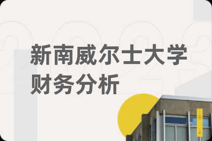 新南威尔士大学财务分析