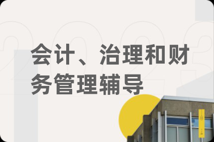 会计、治理和财务管理辅导