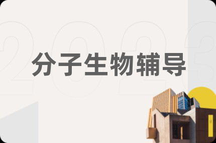 分子生物辅导