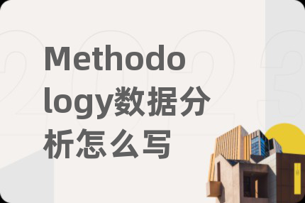Methodology数据分析怎么写