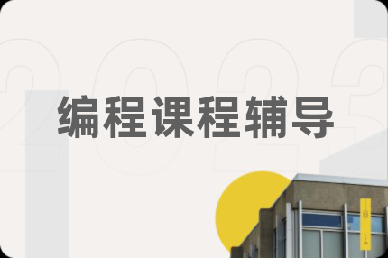 编程课程辅导