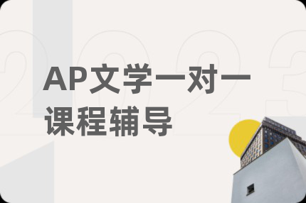 AP文学一对一课程辅导