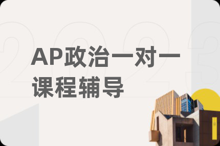 AP政治一对一课程辅导