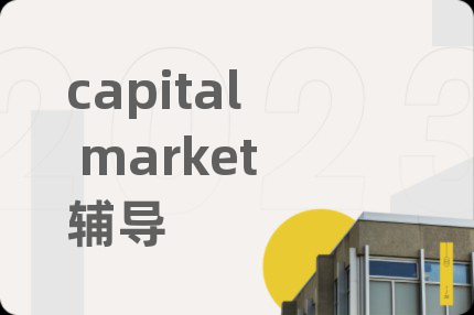 capital market辅导