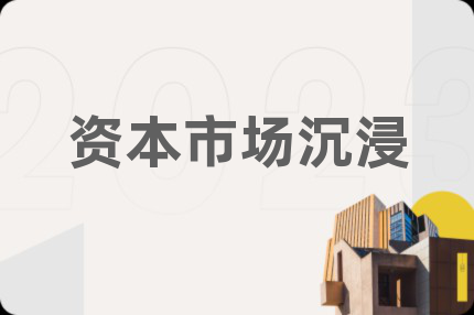 资本市场沉浸