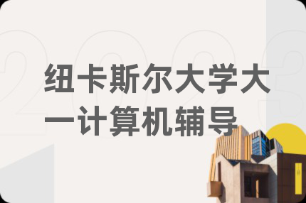 纽卡斯尔大学大一计算机辅导