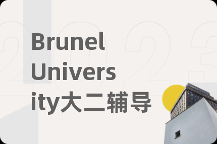 Brunel University大二辅导