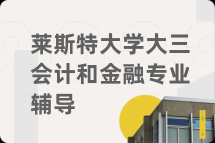 莱斯特大学大三会计和金融专业辅导