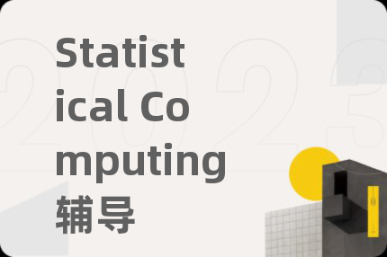 Statistical Computing辅导