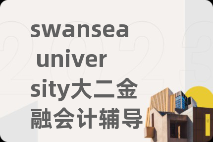 swansea university大二金融会计辅导
