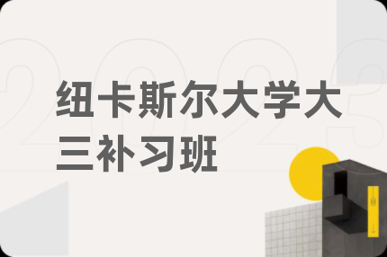 纽卡斯尔大学大三补习班