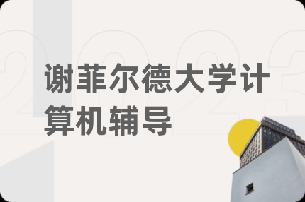 谢菲尔德大学计算机辅导