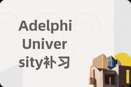 Adelphi University补习