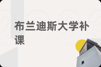 布兰迪斯大学补课