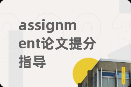 assignment论文提分指导