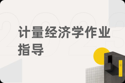 计量经济学作业指导