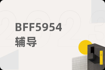 BFF5954辅导