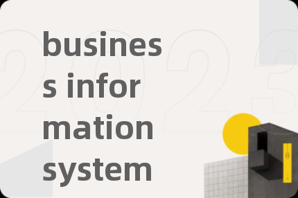 business information system