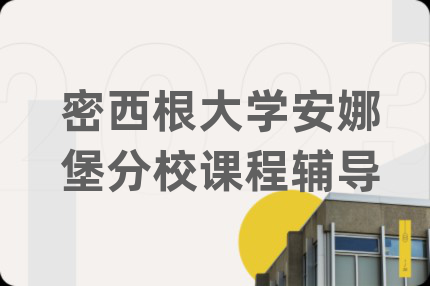 密西根大学安娜堡分校课程辅导
