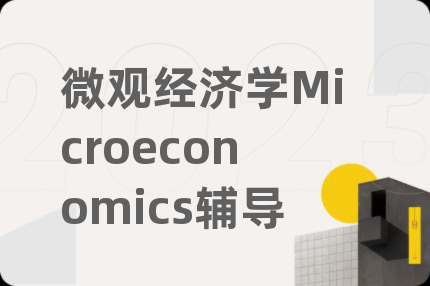 微观经济学Microeconomics辅导