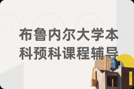 布鲁内尔大学本科预科课程辅导