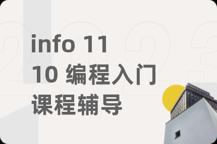 info 1110 编程入门课程辅导